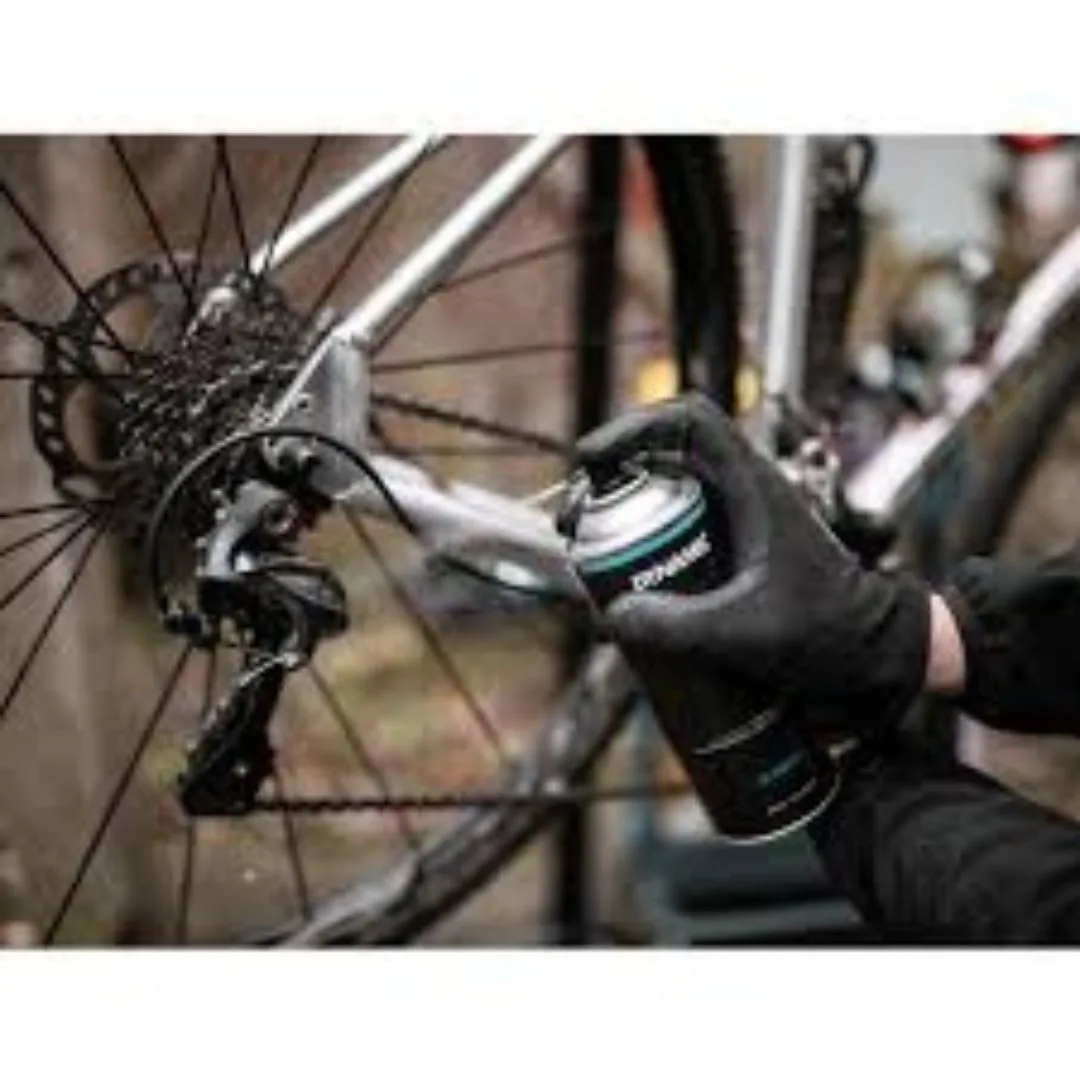 Chain Cleaning
